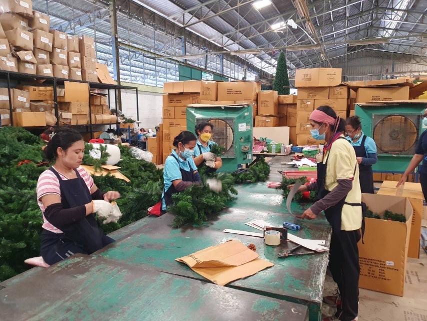 ခရစ္စမတ်ပန်းခြောက်များထုတ်လုပ်ခြင်းလုပ်ငန်း 